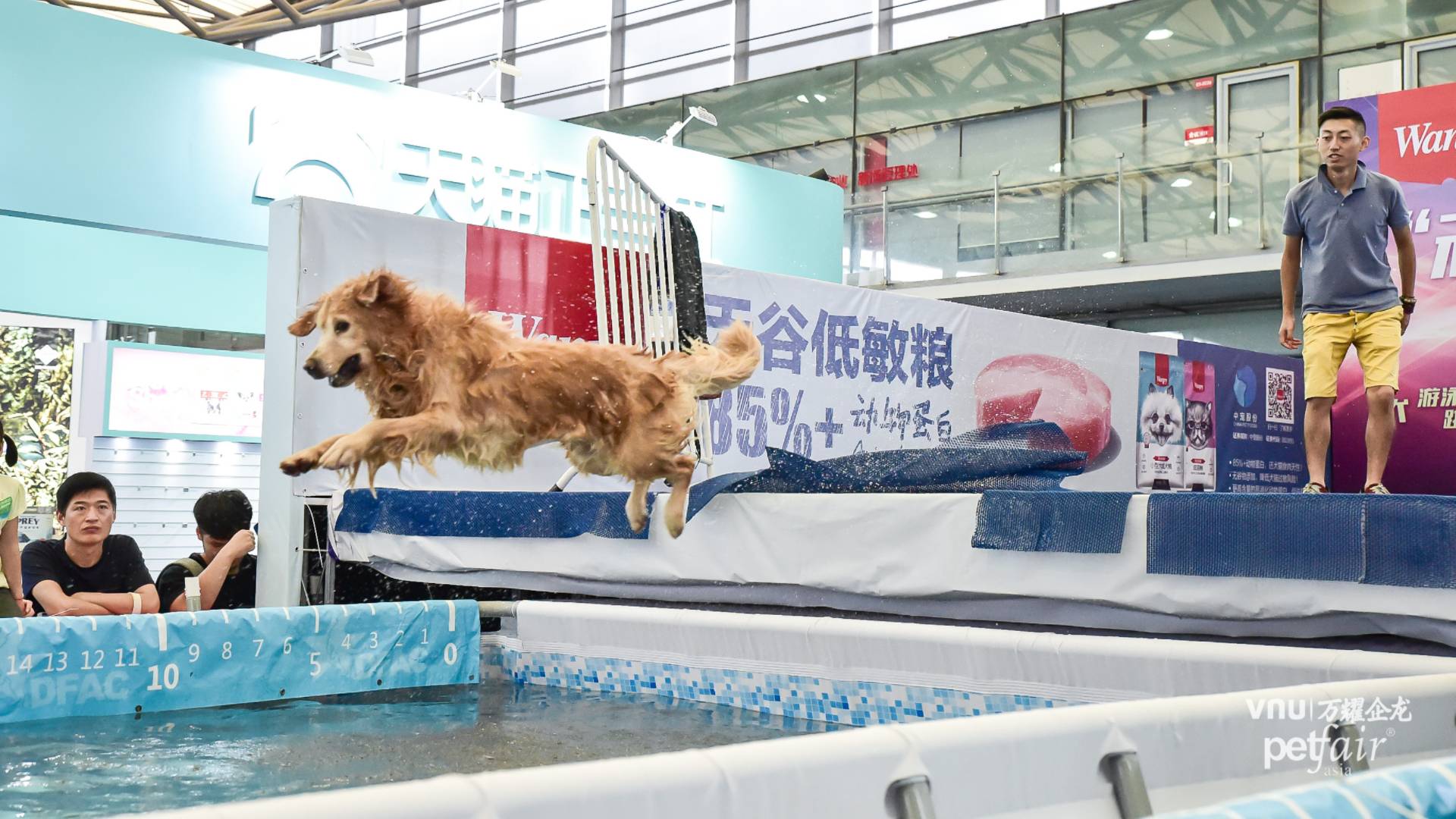 Diving Competition at Pet Fair Asia 2019