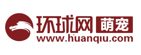 环球网